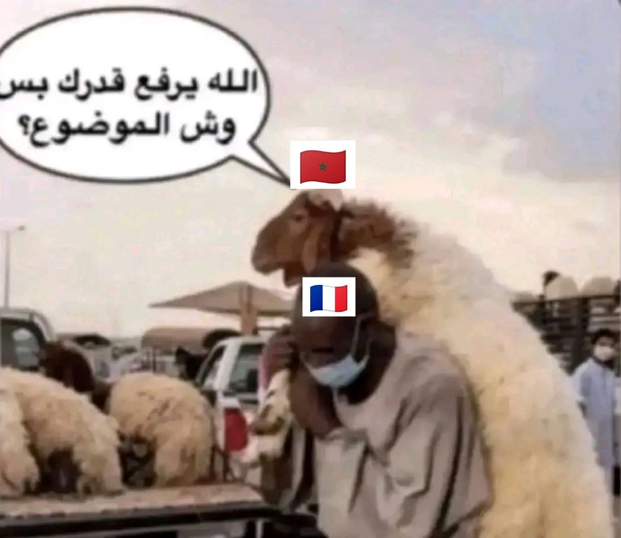 1783636037073.png