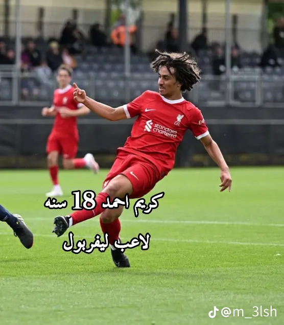8e21d4c54d7a1f1c95bacaebef3d647e.webp