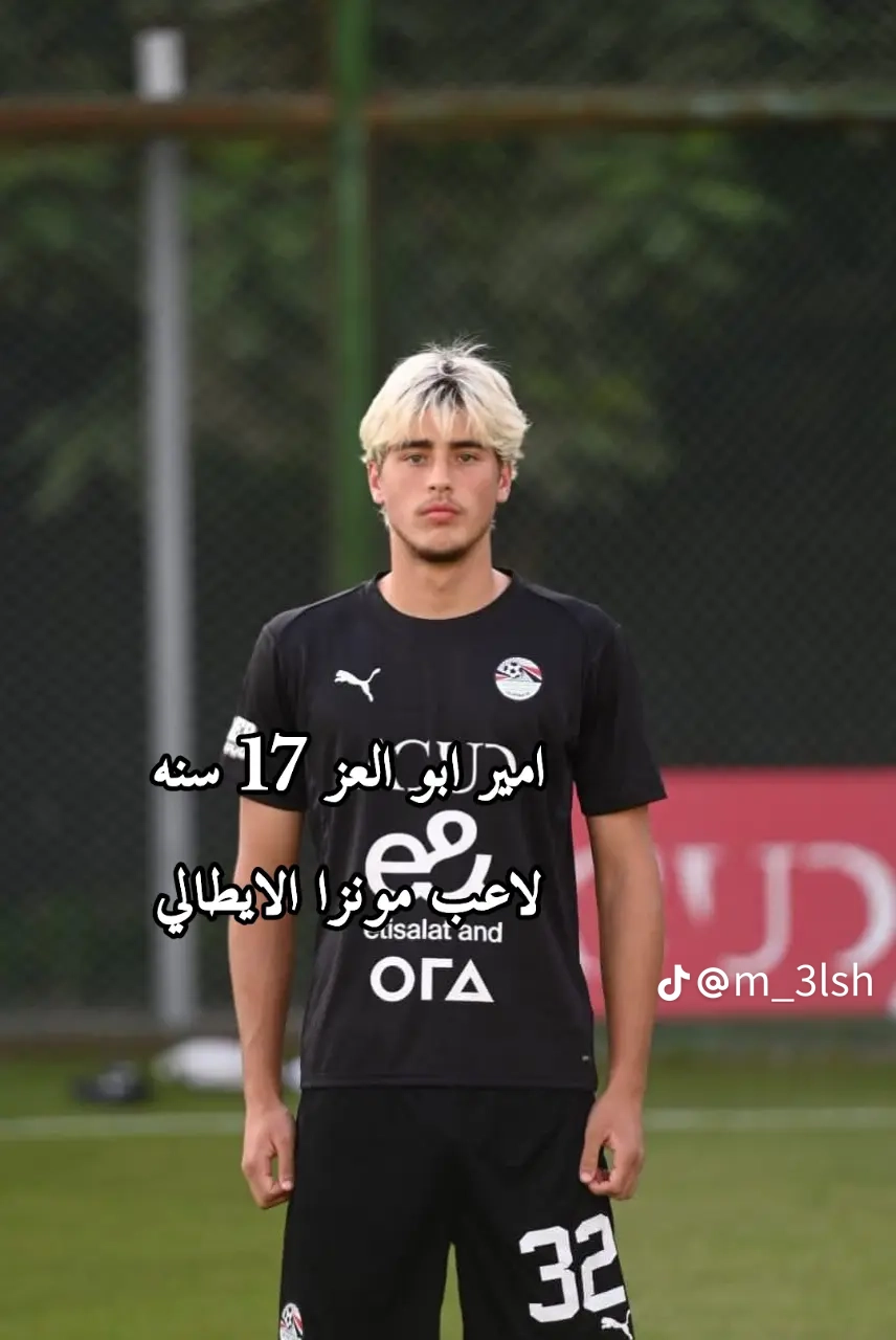 a9109765224ca199c020a85df957adff.webp