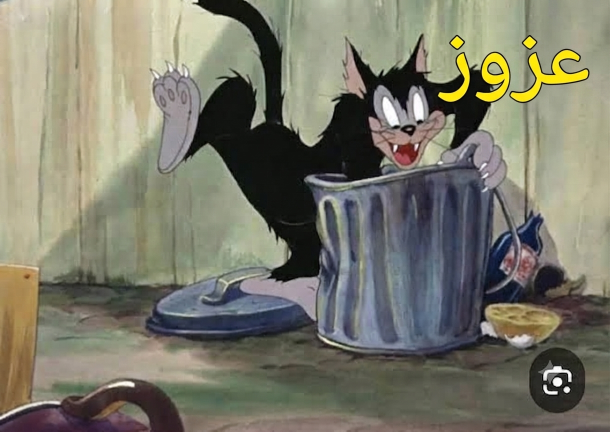 68391.png