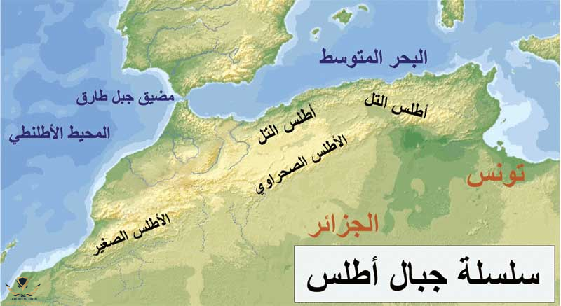1784035541693.png
