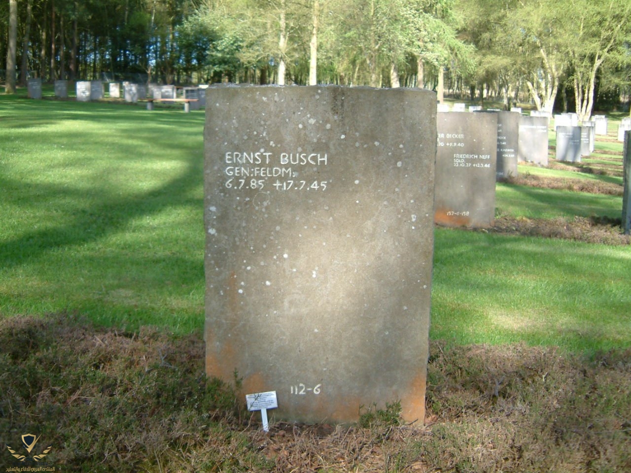 65090072_1430579047.jpg
