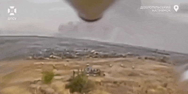 1000069594.gif