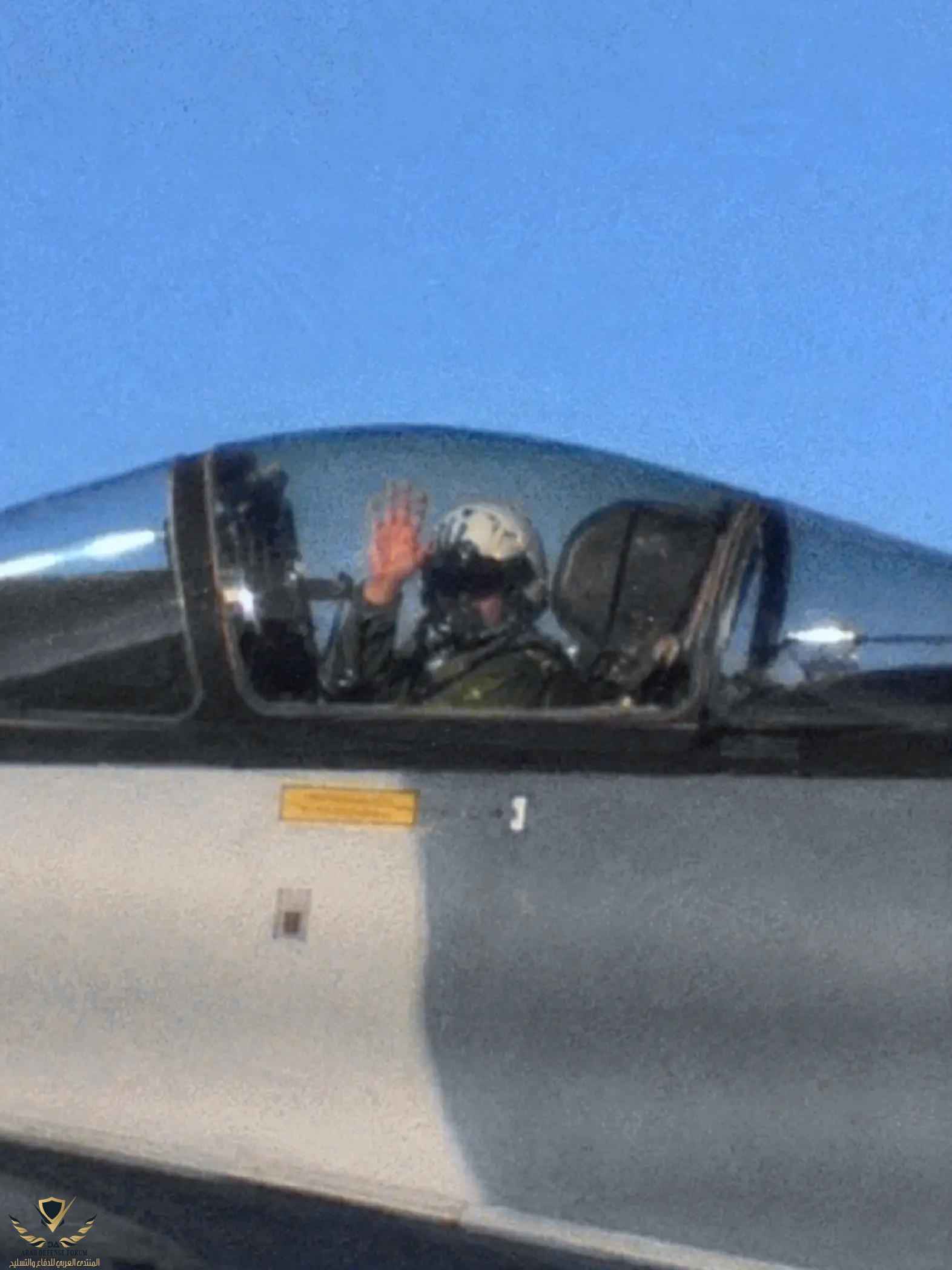 38251.jpg