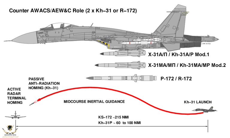 Su-30MK+Kh-31-2.png