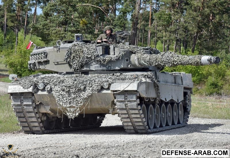 leopard2.jpg