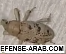 IMG_٢٠١٧١٠١٢_٠١٢٤٤١.png