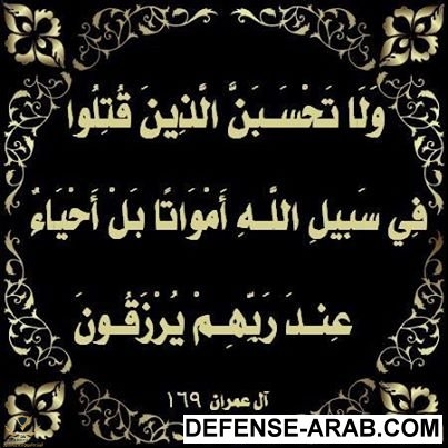 image_101763_ar.jpg