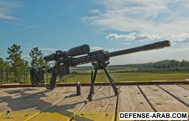 caracal-cs-308-sneak-lead.jpg