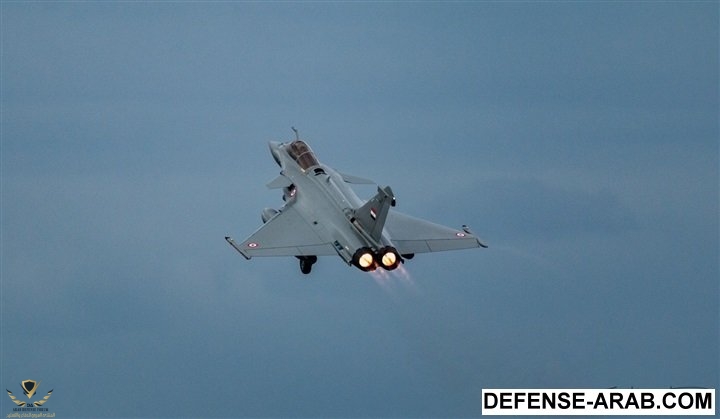 597.jpg