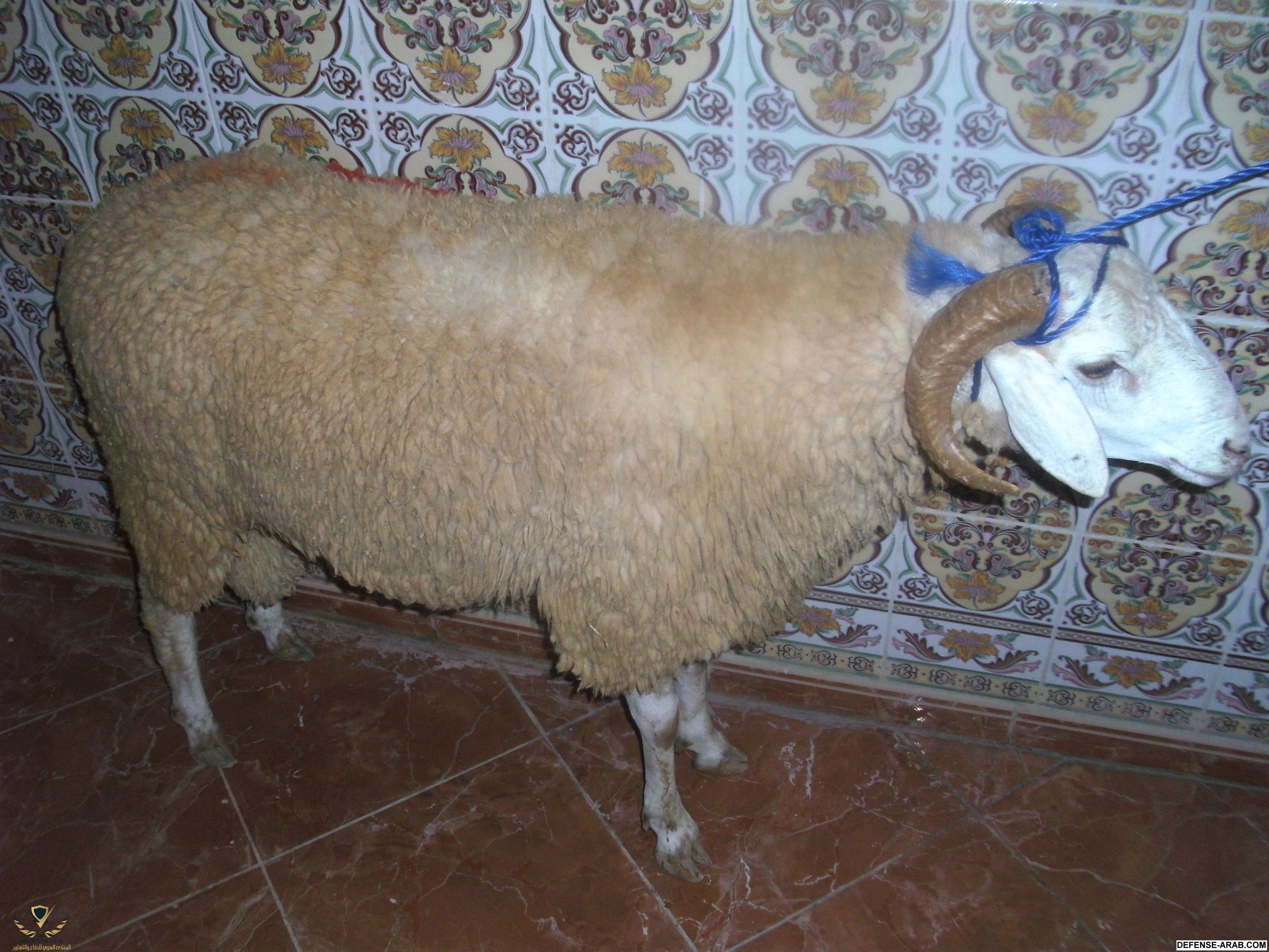 PICT0025.JPG