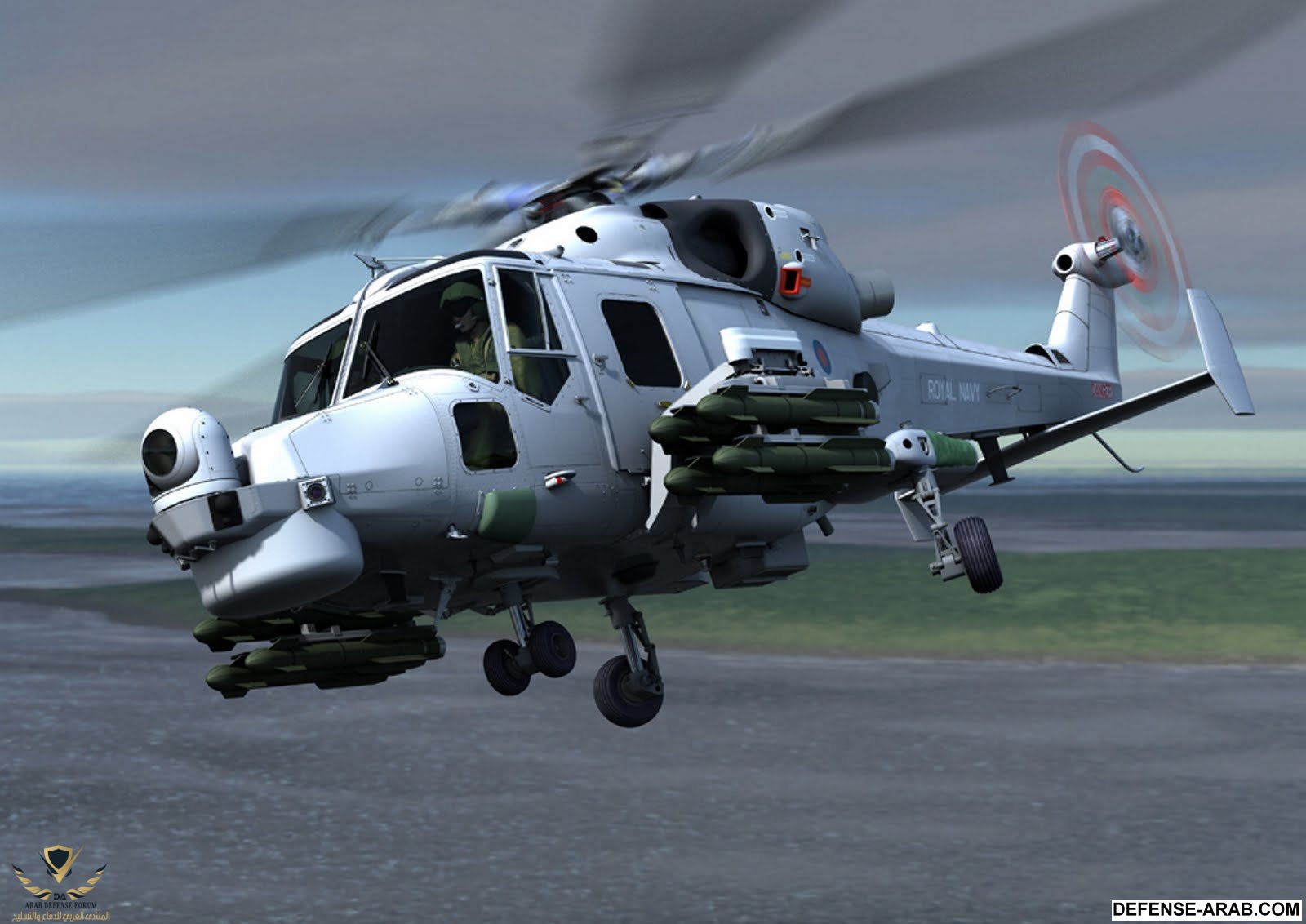 FLynx_07.jpg