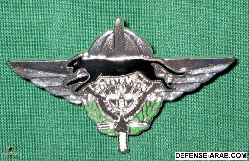 commando para.jpg
