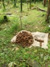 Trenches-India-Nagara-Fort-Rockets.jpg
