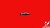 DCD01F9F-69A0-4A91-A61D-DA131DF89980.png