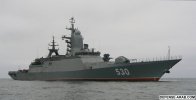 rfs-steregushy3.jpg