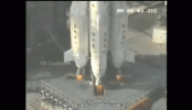 QueasyGlaringCirriped-size_restricted.gif QueasyGlaringCirriped-size_restricted.gif