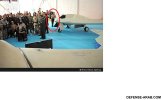 RQ-170-IranG.jpg