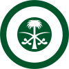 Roundel_of_Saudi_Arabia.svg.png