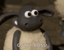 IMG_4623.gif