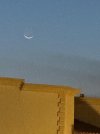 IMG_3341.jpeg