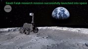 d41586-020-03054-1_18544732.jpg