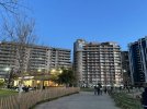 IMG_7127.jpg