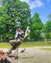 sultan_iram16_1746181501258.jpeg