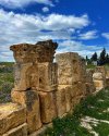 arbane_idriss_1746182191676.jpeg