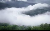 IMG_0929.jpeg