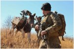 Mule-Carrying-Mk47-SF-Army-Photo-2017.jpg