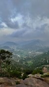 IMG_6082.jpeg