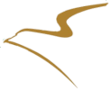 1000065764.png