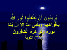 1749082795213.png