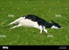 IMG_2950.jpeg