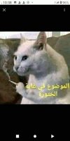 FB_IMG_1701270647213.jpg