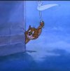 IMG_1186.jpeg