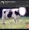 Screenshot_٢٠٢٥٠٦٢٤_٠٥٥١١٩_com_instagram_android_InstagramMainActivity_edit_249642450820028.jpg