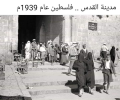 1751023735668.png