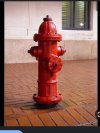 IMG_7766.jpeg