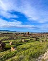 algerian_tourism16_1751713427884.jpeg
