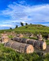 algerian_tourism16_1751713428220.jpeg