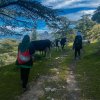 dz_hikers_1752433764987.jpeg
