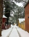 visit_algeria_1752867899938.jpeg