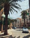 visit_algeria_1752868061353.jpeg