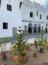 visit_algeria_1753039066224.jpeg
