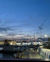 visit_algeria_1753039492125.jpeg