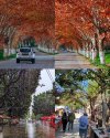 visit_algeria_1753111691467.jpeg