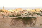 IMG_9558.jpeg