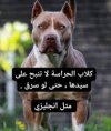 IMG_5721.jpeg